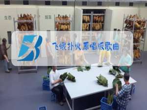 飞蛾扑火原唱版歌曲