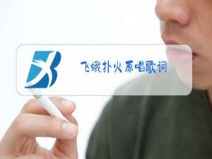飞蛾扑火原唱歌词