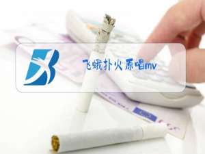 飞蛾扑火原唱mv