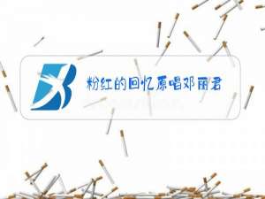 粉红的回忆原唱邓丽君