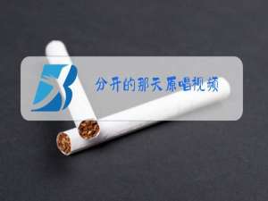 分开的那天原唱视频