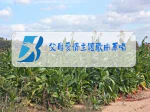 父母爱情主题歌曲原唱