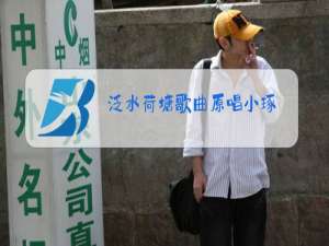 泛水荷塘歌曲原唱小琢