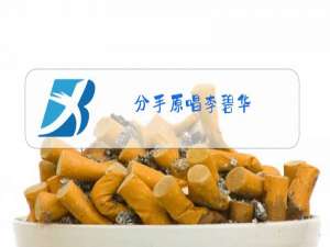 分手原唱李碧华,演唱林子