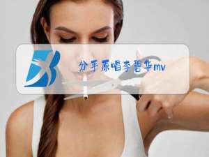 分手原唱李碧华mv