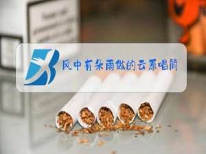 风中有朵雨做的云原唱简谱视频读唱