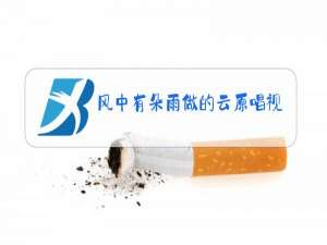 风中有朵雨做的云原唱视频