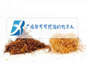 广场舞可可托海的牧羊人原唱完整版视频