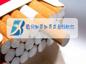 歌词知否知否应是绿肥红瘦歌曲原唱