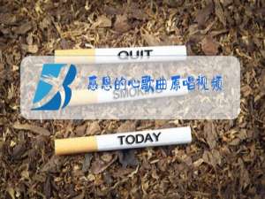 感恩的心歌曲原唱视频
