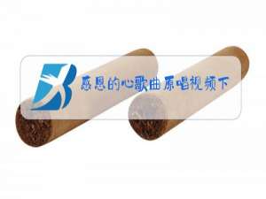 感恩的心歌曲原唱视频下载