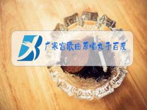 广寒宫歌曲原唱丸子百度云