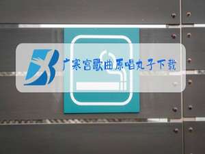 广寒宫歌曲原唱丸子下载