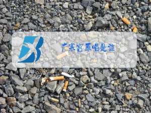 广寒宫原唱是谁