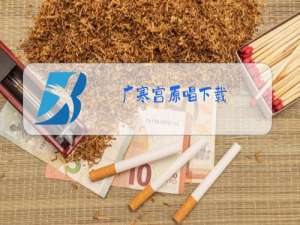 广寒宫原唱下载