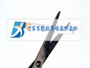 过家家歌曲原唱扁担扁担