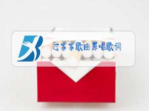 过家家歌曲原唱歌词