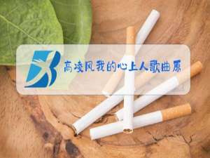 高凌风我的心上人歌曲原唱