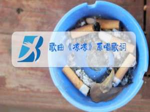 歌曲《凉凉》原唱歌词