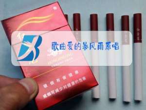 歌曲爱的暴风雨原唱