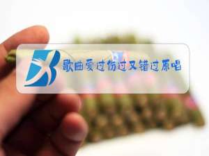 歌曲爱过伤过又错过原唱