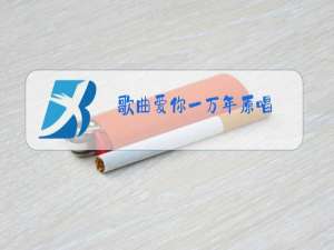 歌曲爱你一万年原唱