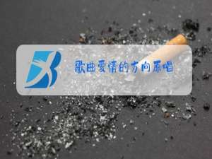 歌曲爱情的方向原唱
