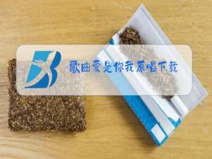 歌曲爱是你我原唱下载