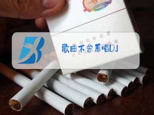 歌曲不舍原唱DJ
