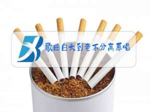 歌曲白头到老不分离原唱伴奏