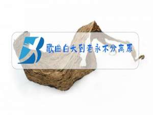 歌曲白头到老永不分离原唱