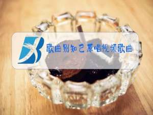 歌曲别知己原唱视频歌曲点歌的人