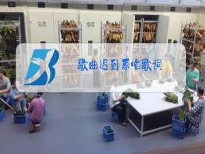 歌曲迟到原唱歌词