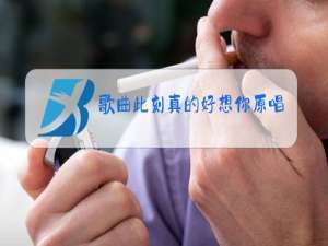 歌曲此刻真的好想你原唱