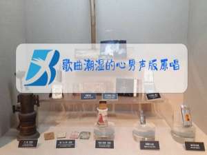 歌曲潮湿的心男声版原唱