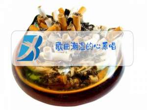 歌曲潮湿的心原唱
