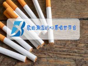 歌曲潮湿的心原唱甘萍窗