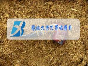 歌曲大悲咒原唱龚月