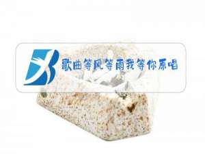 歌曲等风等雨我等你原唱简谱