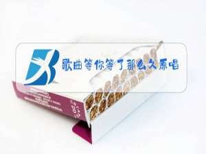 歌曲等你等了那么久原唱歌曲男女对唱