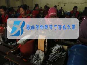 歌曲等你我等了那么久原唱等你等了那么久歌词