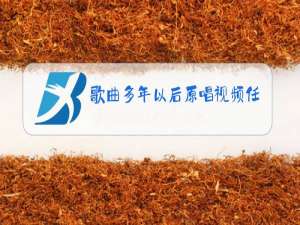 歌曲多年以后原唱视频任盈盈