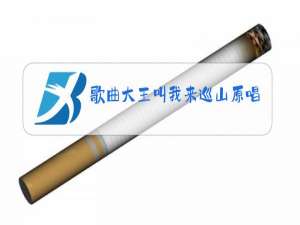 歌曲大王叫我来巡山原唱歌词