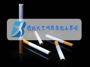 歌曲大王叫我来巡山原唱视频