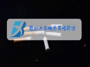 歌曲二泉映月原唱简谱