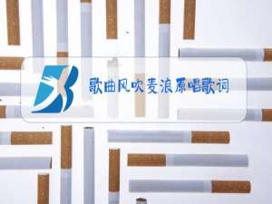 歌曲风吹麦浪原唱歌词