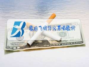 歌曲飞蛾扑火原唱歌词