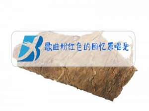 歌曲粉红色的回忆原唱是施筱龄