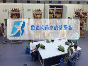 歌曲风雨中的情原唱