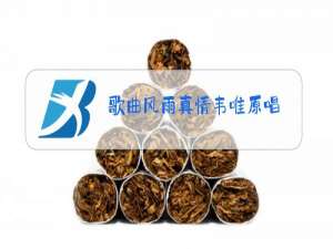 歌曲风雨真情韦唯原唱